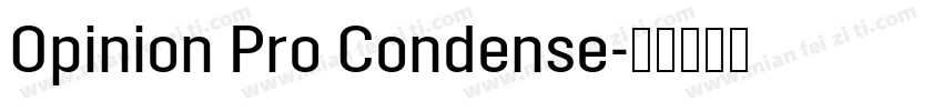 Opinion Pro Condense字体转换